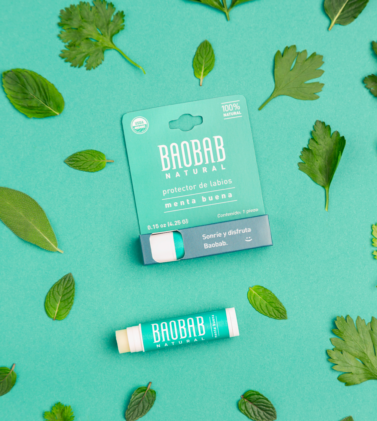 Kit Signature Baobab
